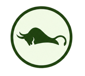 Gritfin finance